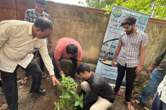 Tree Plantation 2025