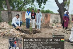 Tree Plantation Day 2026