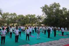 WhatsApp-Image-2023-06-21-at-17.16.58-16