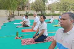 Yoga Day 2026
